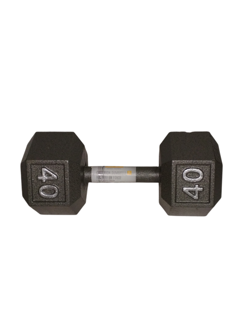 Vist Large View of Product Image Which is New 40 lb iron dumbbell