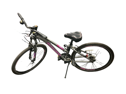 Vist Large View of Product Image Which is Used Schwinn TRAILWAY Hybrid/City Bike Womens Grey 53-55cm - MD Frame
