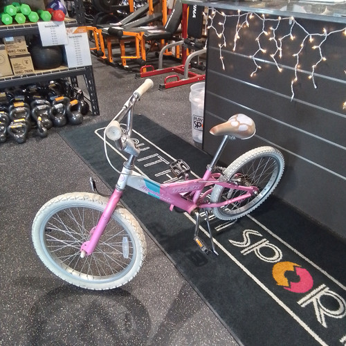 Vist Large View of Product Image Which is Used Trek MOUNTAIN LION Comfort Bike Girls Pink 22"