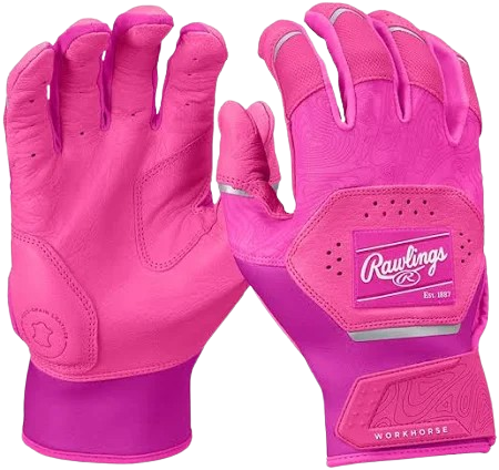 Vist Large View of Product Image Which is New PNK WORKHORSE YTH BG LG