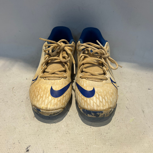 Vist Large View of Product Image Which is Used Nike DIAMOND FASTFLEX BB/SB Cleats White Junior 04.5