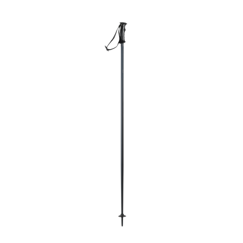 Vist Large View of Product Image Which is Nordica Primo Ski Poles Grey #OB081401