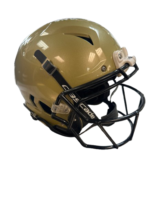 Vist Large View of Product Image Which is Used Schutt VENGANCE Z10 LTD FB Helmet Gold MD