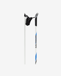 Vist Large View of Product Image Which is New Salomon R20 Pole