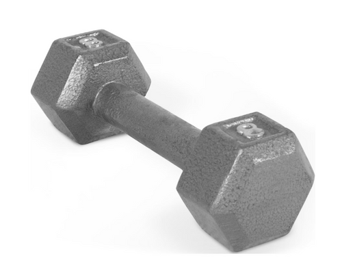 Vist Large View of Product Image Which is New 8LB CAST IRON DUMBBELL 