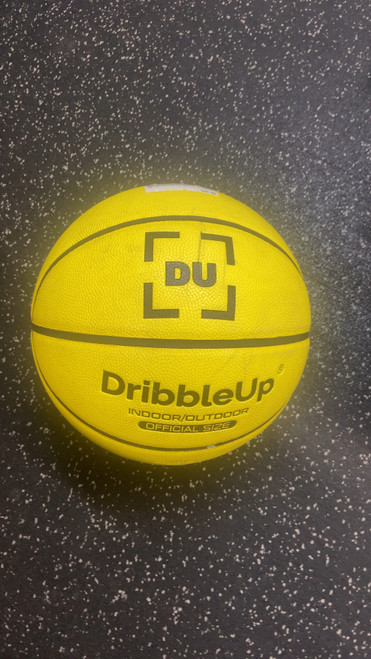 Vist Large View of Product Image Which is Used DR Basketball Adult Indoor
