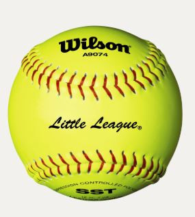 Vist Large View of Product Image Which is New WILSON 11" LL SOFTBALL