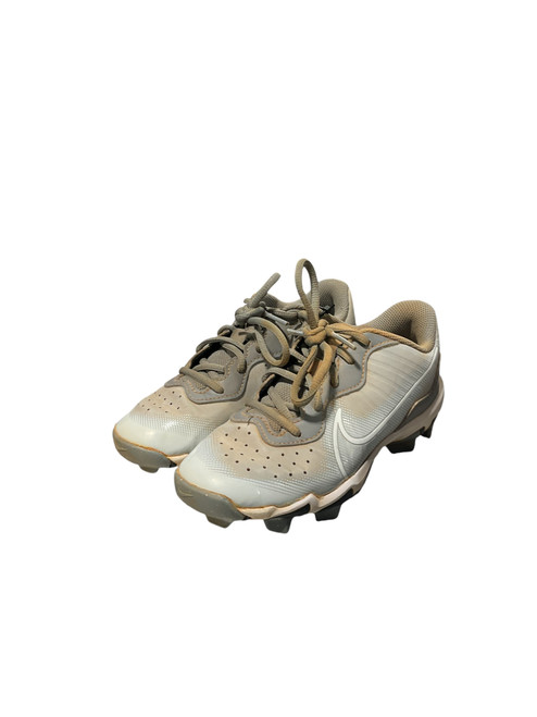 Vist Large View of Product Image Which is Used Nike DIAMOND FASTFLEX BB/SB Cleats Grey Junior 02.5