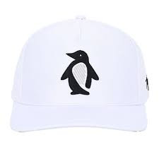 Vist Large View of Product Image Which is New WAG WADDLE WEDGE HAT