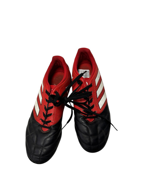 Vist Large View of Product Image Which is Used Adidas ACE 17.4 FXG BB5591 Soccer Cleats Red Junior 05