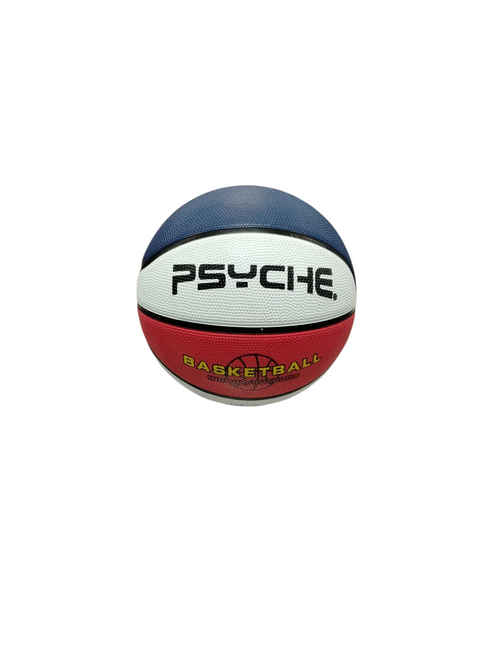 Vist Large View of Product Image Which is Used Basketball Psyche Indoor/Outdoor Basketball