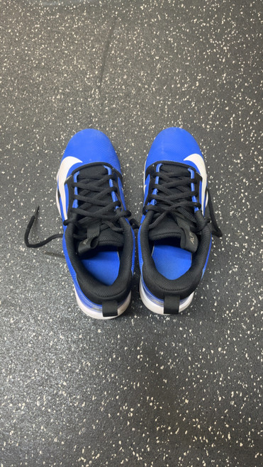 Vist Large View of Product Image Which is Used Nike FASTFLEX BB/SB Cleats Royal Blue Senior 6