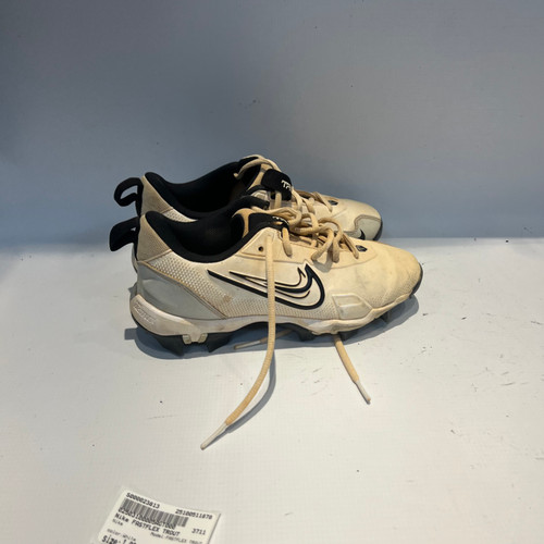 Vist Large View of Product Image Which is Used Nike FASTFLEX TROUT BB/SB Cleats White Junior 03