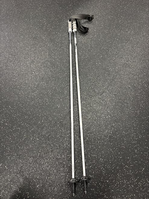 Vist Large View of Product Image Which is Used Swix CARBON Mens DH Ski Pole White 120 cm / 48 in