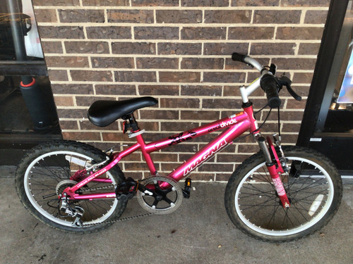 Vist Large View of Product Image Which is Used Magna GREAT DIVIDE 20 GIRLS MTN BIKE Mountain Bike Girls Pink 20"