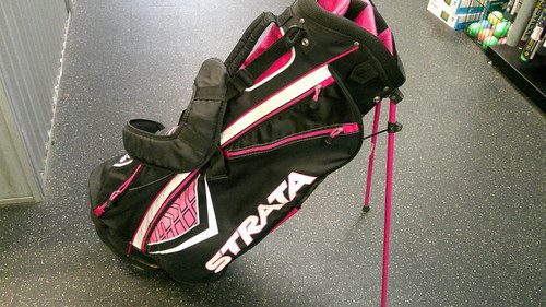 Vist Large View of Product Image Which is Used Strata STAND BAG Mens Stand Bag Pink