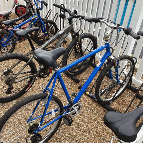 Vist Large View of Product Image Which is Used NISHIKI TAMARACK Mountain Bike Mens Royal Blue 53-57cm - 21-22" - XL Frame