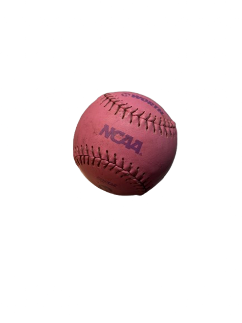 Vist Large View of Product Image Which is Used Worth NC10S TRAINING BB/SB Training Aid