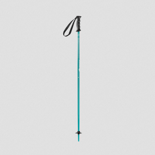 Vist Large View of Product Image Which is New NORDICA JR. POLE TEAL 110