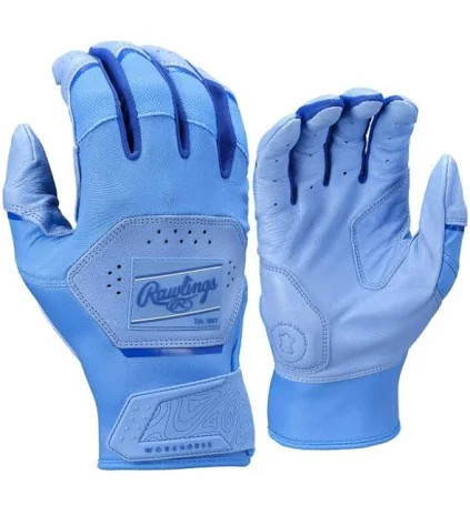 Vist Large View of Product Image Which is New RAWLINGS WORKHORSE BG