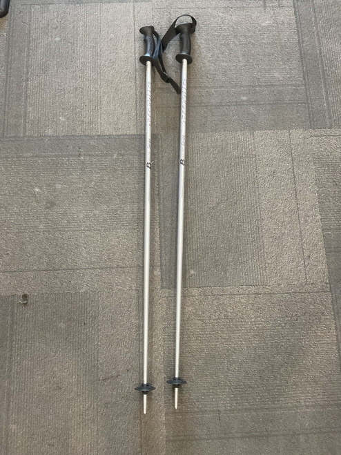 Vist Large View of Product Image Which is Used Atomic BETA SERIES Mens DH Ski Pole Grey 120 cm / 48 in