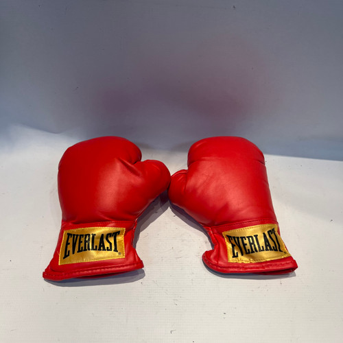 Vist Large View of Product Image Which is Used Everlast Boxing Gloves Red MD