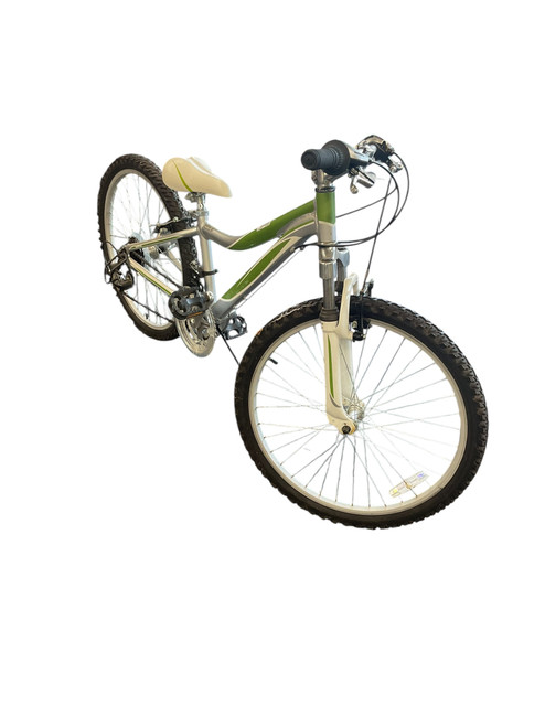 Vist Large View of Product Image Which is Used RAVEN BIKE 24 Mountain Bike Boys Green 24"