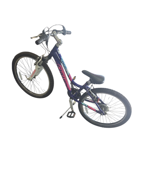 Vist Large View of Product Image Which is Used Schwinn RANGER Mountain Bike Girls None 24"