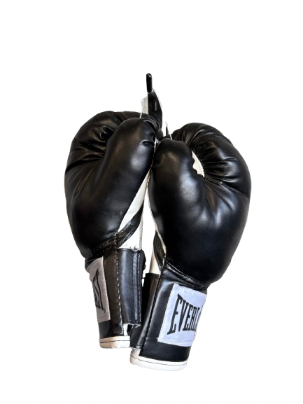 Vist Large View of Product Image Which is Used Everlast Boxing Gloves Black And White Youth