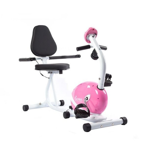 Vist Large View of Product Image Which is Used Sunny PINK MAGNETIC RECUMBENT Recumbent Bike