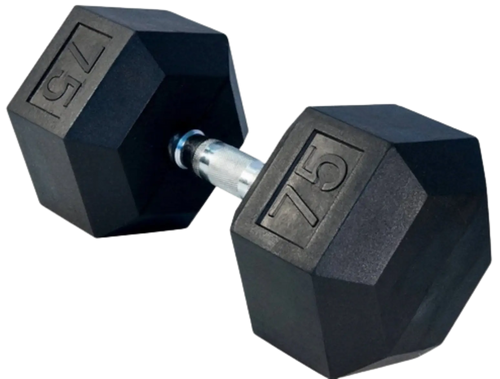 Vist Large View of Product Image Which is New Rubber Hex Dumbbell 75 lb