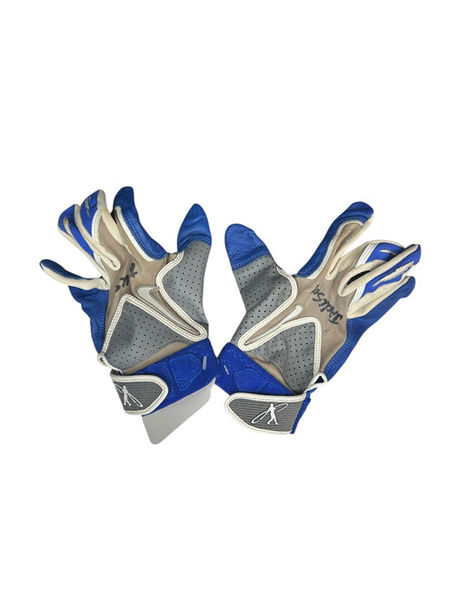 Vist Large View of Product Image Which is Used Nike BB/SB Batting Gloves Royal Blue LG