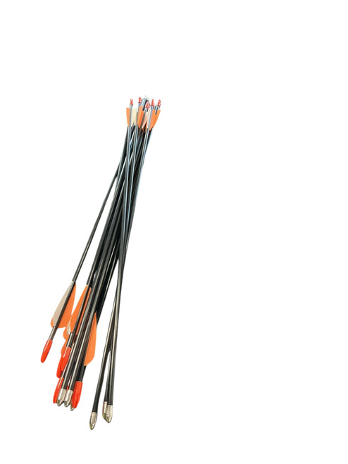 Vist Large View of Product Image Which is Used BULLET POINT ARROW SET OF 12 Adult Arrow