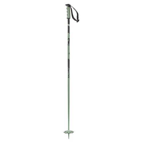 Vist Large View of Product Image Which is New Salomon Steep 2026 Ski Poles- Iceberg Green 120cm