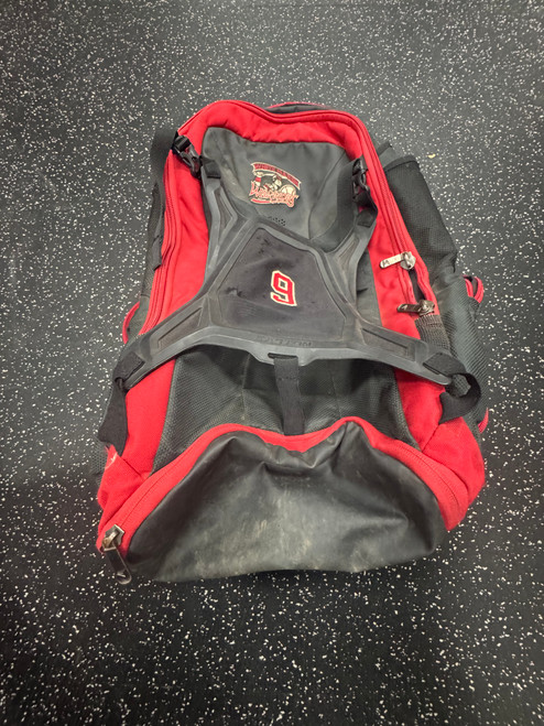 Vist Large View of Product Image Which is Used Easton BACKPACK BB/SB Player Backpack Cardinal And Black