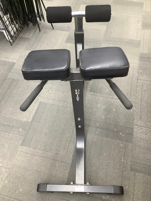 Vist Large View of Product Image Which is Used Hoist ROMAN CHAIR Roman Chair