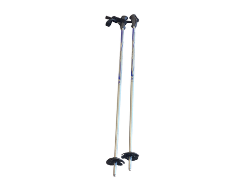 Vist Large View of Product Image Which is Used Rossignol AXIUM Womens DH Ski Pole Grey 100 cm / 40 in