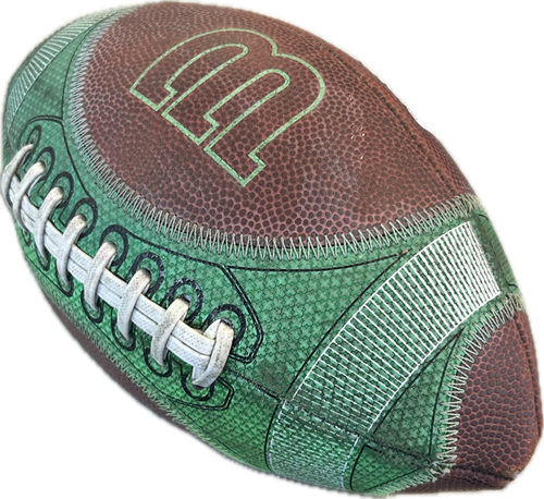 Vist Large View of Product Image Which is Used Wilson Youth Football