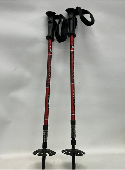 Vist Large View of Product Image Which is Used REI SUMMIT ADJUSTABLE Mens DH Ski Pole Maroon Snow Shoe Pole
