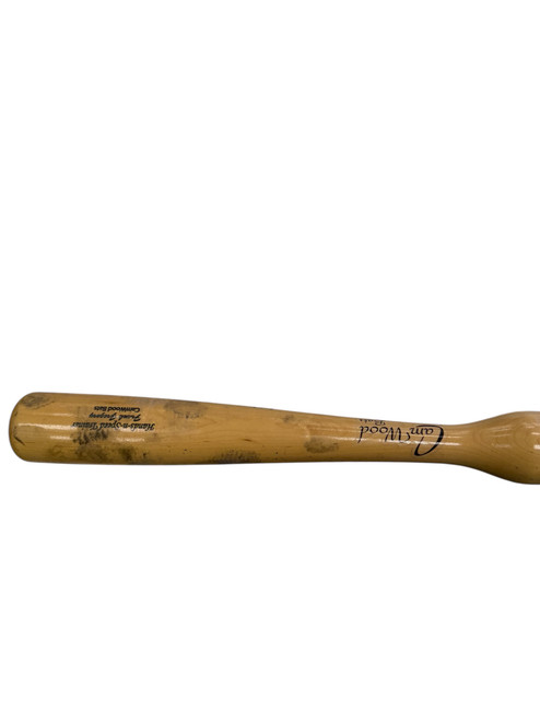 Vist Large View of Product Image Which is Used CAMWOOD BB/SB Training Aid