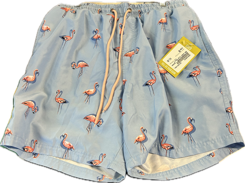 Vist Large View of Product Image Which is Used FLAMINGO Mens Swim Suit Carolina Blue MD