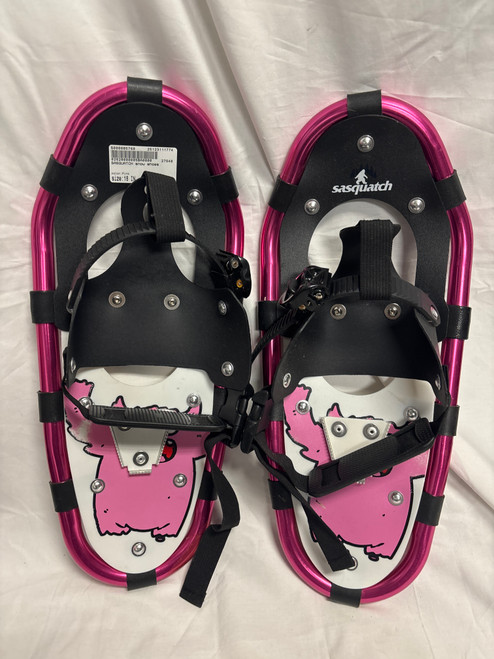 Vist Large View of Product Image Which is Used Snowshoes Boys Pink 18"