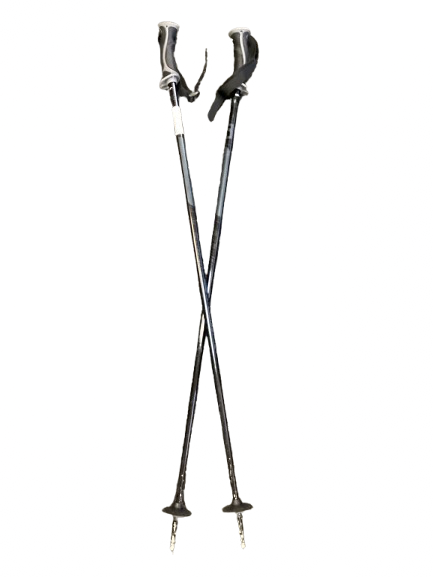 Vist Large View of Product Image Which is Used Salomon ARTIC LADY Womens DH Ski Pole Black 105 cm / 42 in