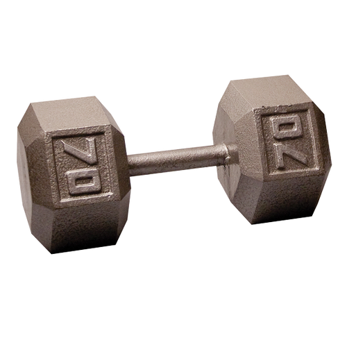 Cast Iron Hex Dumbbell Vist Large View of Product Image Which is Cast Iron Hex Dumbbell