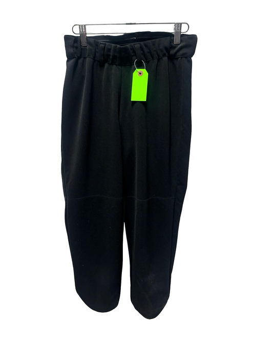 Vist Large View of Product Image Which is Used The Gluv Athletique Womens SOFTBALL PANTS Black LG