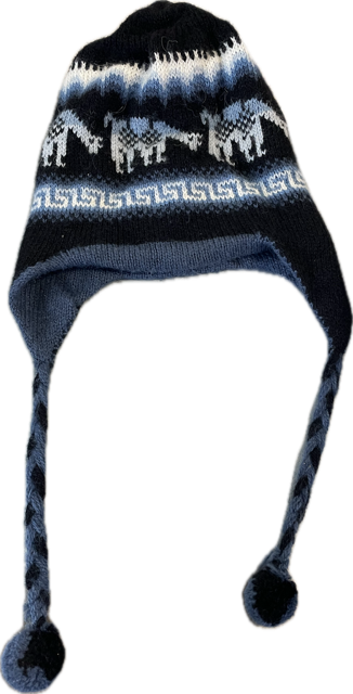 Vist Large View of Product Image Which is Used Outerwear Mens Hat Navy Blue