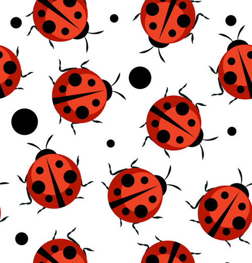 Vist Large View of Product Image Which is New HOCSOCX LADY BUGZ-MEDIUM