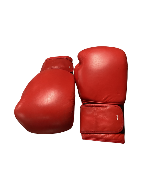 Vist Large View of Product Image Which is Used Boxing Gloves Red LG
