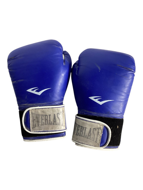 Vist Large View of Product Image Which is Used Everlast Boxing Gloves Royal Blue MD