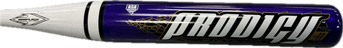 Vist Large View of Product Image Which is Used Worth PRODIGY BB/SB Fastpitch Bat 30"